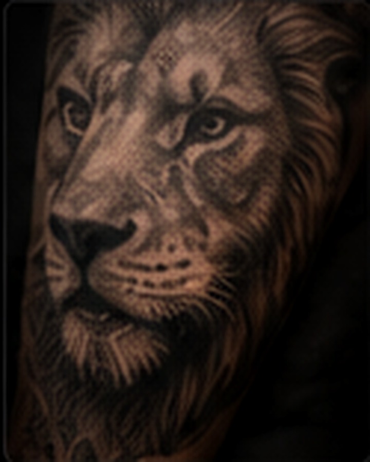 Tattoo realismo leão